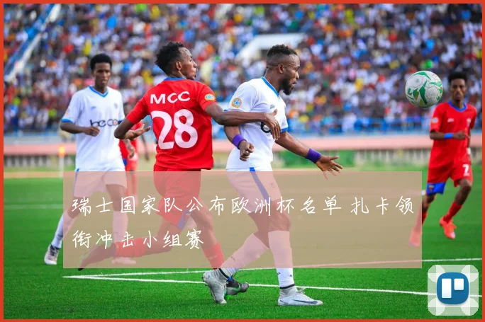 瑞士国家队公布欧洲杯名单 扎卡领衔冲击小组赛
